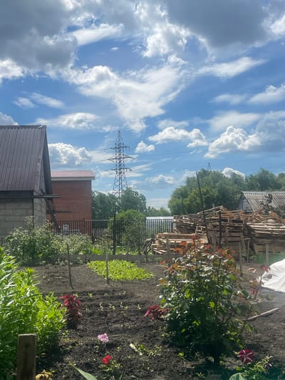 This image depicts a rural or semi-rural garden scene in Vasilevka, Russia, under a bright blue sky with scattered white cumulus clouds. In the foreground, a cultivated garden plot features dark, tilled soil with rows of small green plants, larger leafy green foliage along the left edge, and a prominent rose bush with green and reddish-brown leaves on the right. Several small flowering plants are visible, including one pink, one red, and one striped purplish-red bloom. A plant with dark red foliage is also present. Wooden stakes are inserted into the soil.

In the midground, a grey cinder block house with a dark reddish-brown corrugated metal roof stands on the left, with a wooden structure leaning against its side. Behind it is a red brick building also topped with a reddish-brown corrugated roof. Towards the right, a large stack of wooden pallets is visible next to a weathered wooden outbuilding with a grey roof. A tall metal lattice transmission tower (electricity pylon) is prominently positioned against the sky in the center-right. A black metal fence separates the garden area from the structures. The background consists of a dense line of green trees under the clear sky. No people or animals are visible.