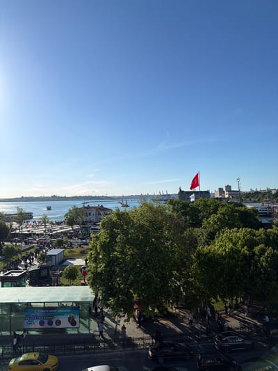 The image shows a cityscape with a waterfront view, likely taken from an elevated position. The scene includes a blue sky, a body of water (likely the Bosphorus), and buildings of varying heights in the distance. A Turkish flag is prominently displayed.
In the foreground, there's a busy street with trees, cars, people walking, and what appears to be a bus stop. There's also a yellow taxi visible.
Given the Turkish flag and the cityscape characteristics, the location is very likely within Istanbul, Turkey. The features match the Kadıköy district on the Asian side, with its views of the Bosphorus and active city life.
