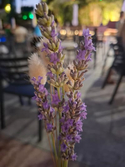 This is a close-up, low-angle shot of a bouquet of dried lavender stems and fluffy, light-colored bunny tail grass. The lavender flowers are a soft purple, with some buds and seed heads visible. The bunny tail grass is a soft, fuzzy texture. The background is blurred, suggesting an indoor or outdoor setting with ambient lighting. There are hints of colorful lights in the background, possibly from streetlights or decorations, including green, yellow, and blue lights. The overall lighting is dim, suggesting it might be dusk or evening. The shallow depth of field keeps the focus sharply on the flowers and grass in the foreground, while the background elements are indistinct. The scene evokes a sense of calm and natural beauty. No people are visible in the image. No text is visible.