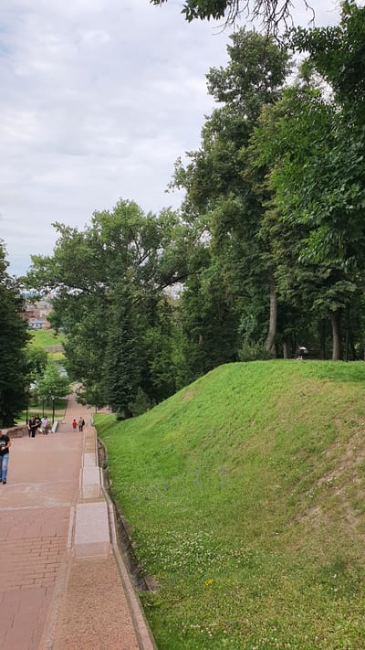 The image depicts a view from a stone staircase in Vitsebsk, Belarus, looking down towards a park area with lush green grass and trees. The staircase is constructed with large, reddish-brown stone slabs and features stone railings. Several individuals are visible walking down the stairs, appearing to be casually dressed. To the right of the staircase, a steep grassy embankment slopes upwards, dotted with small white and purple wildflowers. Beyond the embankment, a dense line of tall, mature trees forms a natural boundary, with some of their branches extending into the frame from the top. In the background, through a gap in the trees on the left, buildings of a city can be seen, suggesting an urban park setting. The sky is overcast with grey clouds.