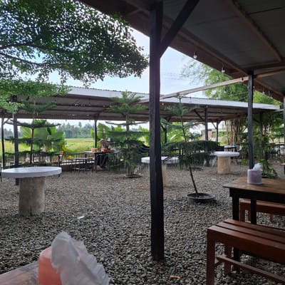 This image depicts an outdoor seating area at a cafe or restaurant located in Uleeue, Indonesia. The ground is covered in a layer of small, grey pebbles. Several tables and chairs are visible, with some occupied. In the background, a lush green rice field stretches out, bordered by trees and foliage, suggesting a rural or semi-rural setting. A covered canopy supported by wooden beams provides shade over the seating area, with string lights hanging from the structure. The atmosphere appears to be casual and relaxed, suitable for dining outdoors amidst natural surroundings.