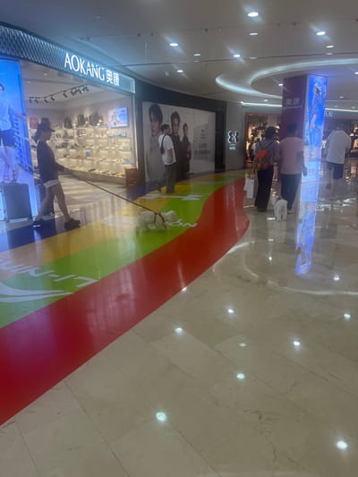 The image shows an indoor shopping mall, likely in Liandu District, China, with a focus on a colorful rainbow-striped floor design. In the foreground, two small white dogs are walking on the rainbow path. One dog is on a leash held by a woman in a dark top and light shorts, who is walking towards the left of the frame. The other dog is walking slightly ahead of the woman. In the background, there is a shoe store with displays of footwear. Further back, people are seen walking through the mall. The environment is well-lit with overhead lights reflecting off the polished floor. A large pillar with an advertisement featuring a woman in a blue outfit is visible on the right side of the frame.
