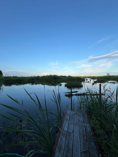 This media file depicts a serene waterscape at dusk, likely in Нагорный, Russia. The scene is dominated by a calm body of water, possibly a lake or river, reflecting the clear blue sky and wispy clouds. A wooden pier extends into the water from the right side of the frame, its weathered planks showing signs of age. Tall green reeds and grasses grow along the water's edge and on the pier itself, adding a natural and wild element to the composition. In the distance, a dense line of trees and vegetation forms the horizon, partially obscuring the fading sunlight. The overall impression is one of tranquility and natural beauty, with the low light of dusk casting a peaceful ambiance over the landscape. There is no visible text in the media file.