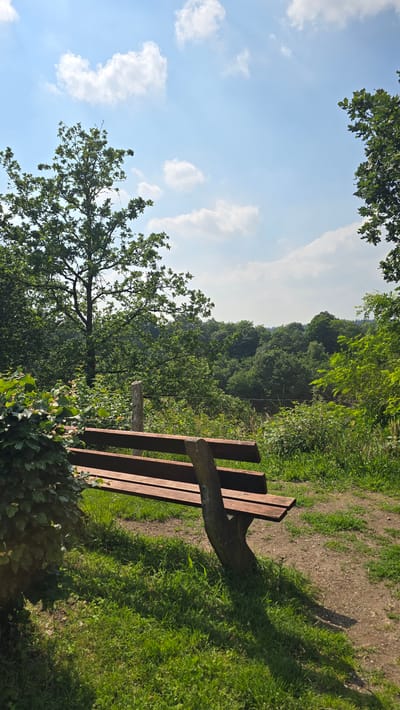 A wooden park bench sits on a grassy area next to a dirt path. The bench is weathered and has two wooden planks for the seat and back. Behind the bench, a dense line of green trees stretches across the horizon. The sky above is a clear blue with scattered white clouds. The location is in the city of Zeddam, Netherlands.