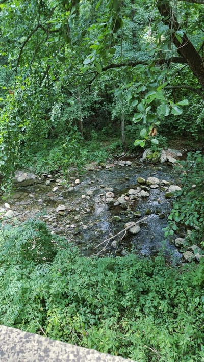 An overhead shot captures a shallow, rocky stream flowing through a dense, green forest. The water is clear, revealing a bed of smooth, grey stones of various sizes. Sunlight dapples through the thick canopy of leaves, creating shifting patterns on the water's surface. Lush green foliage, including ferns and smaller plants, crowds the banks of the stream. A fallen branch lies partially submerged in the water. In the foreground, a textured, grey concrete structure is visible, suggesting it may be a bridge or wall. The scene is serene and natural, typical of the forested areas surrounding Camprodon, Spain. There are no people or animals visible in the image.