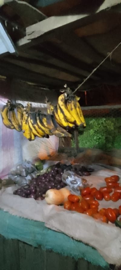 Bananas hang from a string under a dark, wooden structure. Below, a vendor's table is covered with a white cloth displaying produce. Red tomatoes, purple onions, and a pale squash are arranged on the surface. Some items appear to be wrapped in plastic bags. Green foliage can be seen blurred in the background, suggesting an outdoor setting. The scene is captured in slightly dim lighting.
