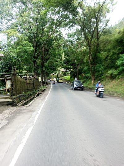 The image depicts a two-lane asphalt road in Kodarapalli, India, observed from a low angle, looking forward in the direction of travel. The road, delineated by a white solid line on its left edge, recedes into a curve dominated by dense green foliage. Overhead, a canopy of tall trees with broad green leaves covers the sky, indicating a forested or heavily vegetated environment.
On the left side of the road, a dirt shoulder transitions into a concrete drainage ditch. Beyond the ditch, a rustic fence constructed from vertical bamboo poles and horizontal wooden supports separates the road from unseen terrain. Behind this fence, partial views of basic structures or dwellings are visible among the trees. Further down the road on the left, additional buildings are partially obscured by greenery.
On the right side of the road, a steep, densely vegetated hillside rises. Several vehicles are in motion, heading away from the viewer. In the mid-distance, a black compact sedan is visible on the right lane. Closer to the foreground on the far right, a white scooter carrying two individuals, both wearing blue tops, is also in motion, exhibiting motion blur. Further down the road, two yellow vehicles, possibly auto-rickshaws or small vans, and several other motorcycles are discernible, also moving away from the camera. The sky appears overcast.