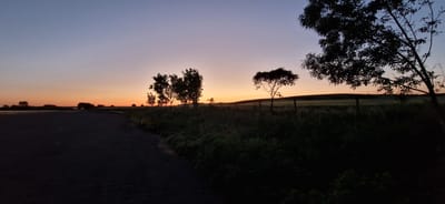 The image depicts a rural landscape at dusk near the city of Vratitsa, Bulgaria. The scene is captured from a low vantage point along a paved road. The sky transitions from a deep blue at the top to a vibrant orange at the horizon, suggesting a setting sun. Silhouetted trees line the horizon and stand along a fence bordering a field. The field appears to be overgrown with tall grass and vegetation, obscuring any clear view of the ground. A larger tree with dense foliage occupies the right side of the frame, partially obscuring the view. The road in the foreground is dark, blending into the shadows.