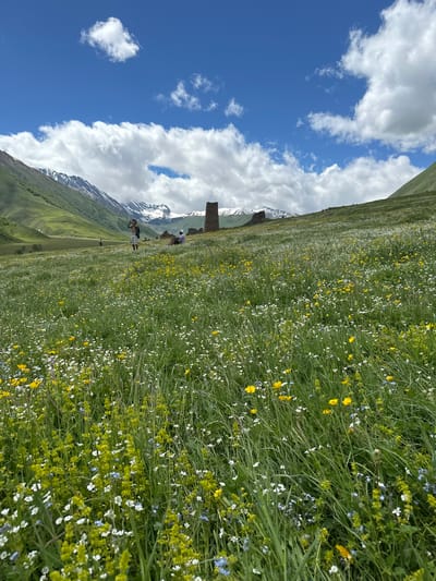 The image depicts a vast, sunlit meadow teeming with a profusion of wildflowers in various colors including yellow, white, and blue. The meadow slopes upwards towards a verdant mountain range, the peaks of which are capped with snow. In the middle distance, on a higher elevation within the meadow, three individuals are visible. One person stands upright, facing away from the camera, and appears to be holding a phone or camera. Another person is seated, also facing away, and a third person is standing further in the background. Dominating the skyline on a distant hill are ancient stone structures, their weathered appearance suggesting historical significance. The sky is a vibrant blue, dotted with fluffy white clouds. This scene is the landscape surrounding the ancient watchtowers in Ketrisi, Georgia.