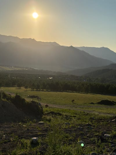 The image depicts a scenic landscape at sunset in the vicinity of Elekmonar, Russia. The sun, a bright orb, is positioned in the upper left quadrant of the sky, casting a warm, hazy glow over the scene. Silhouetted mountain ranges form the backdrop, with layers of peaks receding into the distance, softened by the atmospheric haze. In the mid-ground, a vast expanse of green fields is dotted with numerous coniferous trees, creating a textured forest. Several small, scattered structures are visible within the tree line, suggesting a rural settlement. A dirt road meanders through the fields. In the foreground, a grassy slope leads down to a darker, rougher terrain with scattered rocks and vegetation. Four horses are present in the middle ground, grazing in the field. One horse, predominantly brown, is walking on the dirt road in the foreground. The overall atmosphere is tranquil and bathed in the golden light of the setting sun.
