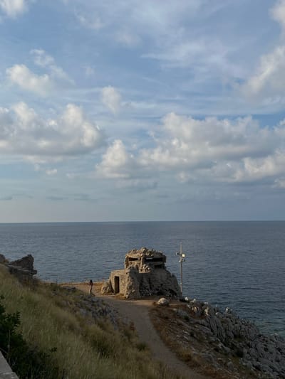 A person is standing on a cliff overlooking the ocean. The scene is set in Palermo, Italy, during the daytime under a partly cloudy sky. The person is viewed from behind, and their silhouette is partially obscured by the surrounding vegetation. They appear to be taking in the view of the sea. The cliff is rocky and covered with dry grass. In the background, the vast expanse of the ocean meets the horizon, and the sky is filled with scattered white clouds against a pale blue backdrop. There is a small structure on the cliff with a cross on top, possibly a marker or monument. The overall mood of the image is one of tranquility and natural beauty. There is no visible text in the image.