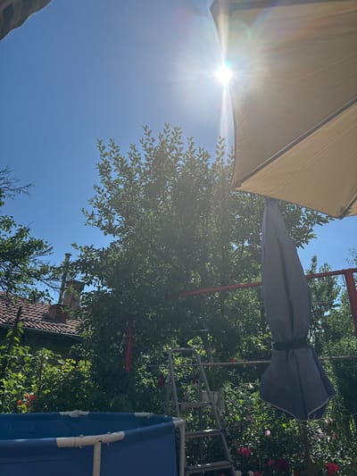 The image depicts a sunlit backyard in Novi Iskar, Bulgaria. A large, partially furled umbrella casts a shadow on the right side of the frame, obscuring part of a tall, leafy tree. The sun is intensely bright, positioned in the upper left quadrant of the sky, creating lens flare. Below the tree, a blue framed swimming pool is visible in the foreground, with its edge in focus. A metal ladder stands to the left of the tree. In the background, a red-tiled roof with a chimney suggests a residential building. The scene is filled with lush greenery, including rose bushes with red and pink blooms at the bottom right and left. The overall impression is a warm, summer day in a garden setting.