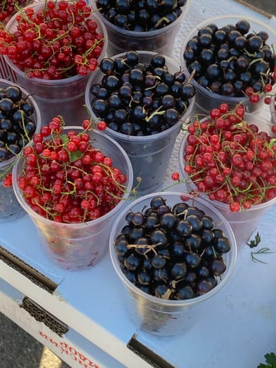 In Kushchovskaya, Russia, a close-up, top-down view captures an assortment of berries in clear plastic cups, arranged on a white surface, possibly a market stall or a table. The cups are filled with vibrant red currants and dark black currants. Some cups contain only one type of berry, while others show a mix. The berries are mostly whole and appear fresh, some still attached to their stems. The lighting suggests an outdoor setting with natural sunlight. The image also shows a portion of a cardboard box with red Cyrillic lettering visible on its side. The background is slightly blurred, indicating a shallow depth of field.