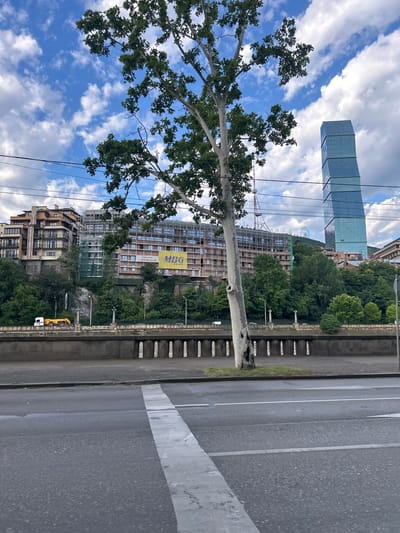 An eye-level, medium shot captures a daytime exterior scene in Tbilisi, Georgia, featuring a tree, a construction site, a modern skyscraper, and a street in the foreground. The foreground displays a two-lane asphalt road with white lane markings. A pedestrian walkway borders the road, separated by a concrete wall with arched openings. Behind the wall, the landscape ascends to a hillside covered with lush green trees. A large, light-colored tree trunk with a distinctive hole is prominently positioned in the middle-left of the frame.

Further up the hill, a multi-story building under construction is visible, clad in scaffolding and green netting, with a yellow banner that reads "MBG RENT." To the right of the construction site, a striking, modern skyscraper with a segmented, glass facade stands tall against a blue sky dotted with fluffy white clouds. A red radio tower with a satellite dish is situated behind the construction. In the background, additional buildings and more trees are visible, suggesting a densely populated urban area with elements of nature. The overall scene conveys a sense of ongoing development within a city.