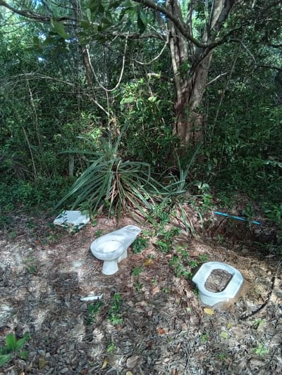 The image captures a ground-level view within a dense forested area in Ko Siboya, Thailand, characterized by the presence of discarded ceramic toilet fixtures. The ground is heavily blanketed with dry, fallen brown leaves, interspersed with patches of green undergrowth.
In the lower right quadrant, a white, Western-style squat toilet bowl is positioned upright, partially filled with leaf litter. To its left, in the lower center, a white Western-style toilet bowl (appearing to be the bowl component without a cistern) stands upright, containing a small amount of liquid or reflection. Further to the left, a broken white ceramic toilet cistern or similar component lies on its side amidst the leaves.
A large plant with long, spiky leaves dominates the mid-ground, slightly to the left of center. Dense green foliage, consisting of trees and shrubs, forms the background and extends across the scene. A prominent tree trunk is visible in the upper right, with its branches contributing to the overhead canopy. A segment of blue plastic piping is visible on the ground in the mid-right, extending into a slight depression. The lighting indicates an outdoor, partially shaded environment under natural daylight.