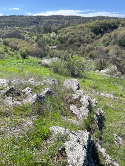 The image depicts a hilly landscape in Chavdartsi, Bulgaria. The foreground features rocks intermixed with green grass and dry vegetation. Further back, a hillside covered in trees, some with white blossoms, slopes upward. A clear blue sky with some clouds is visible on the left.
