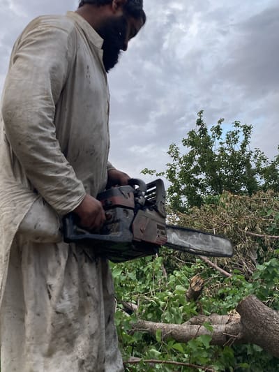 The image captures a man standing outdoors, holding a chainsaw, in what appears to be a natural or semi-natural setting in Qila Saifullah, Pakistan. The primary subject is a man of South Asian appearance, seen from the waist up, facing towards the right side of the frame with his head slightly bowed. He has a dark, full beard and is wearing a light-colored, long-sleeved traditional garment, likely a shalwar kameez, which appears stained and dirty, suggesting manual labor.

He is holding a black and red chainsaw with both hands, positioned in front of him. The chainsaw's guide bar and chain are visible, extending towards the right. In the background, there is dense green foliage, including tree branches with leaves, some of which appear freshly cut or broken, and others that are dry and brown. Several thick, cut tree stumps and branches are visible on the ground around him.

The sky overhead is overcast with a mix of light and dark gray clouds, indicating a cloudy day. There is no direct sunlight, giving the scene a soft, diffused lighting. The activity depicted is tree cutting or clearing, given the presence of the chainsaw and the cut branches. No visible text is present in the image. The man's expression is not discernible due to the angle and cropping, but his posture suggests focus on the task at hand.