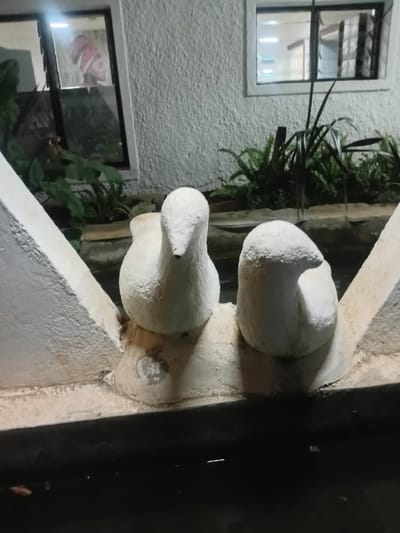 Two white ceramic bird figures adorn a concrete ledge, positioned near lush green plants. One bird has a defined head and body, while the other appears more abstract. The scene is framed by a white stucco wall featuring windows, one reflecting an interior. To the right, a dark, shadowy object partially obscures the view. The lighting suggests an outdoor setting at dusk or evening.
