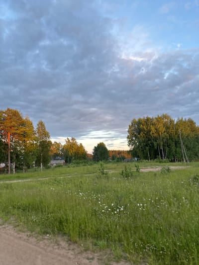 The image depicts a rural landscape under a cloudy sky, possibly at dusk or dawn given the soft light. In the foreground, a dirt path curves through a field of tall green grass dotted with small white wildflowers. Several trees, including what appear to be birch and pine, stand in the middle ground. The trees on the left are illuminated by warm, golden light, while those on the right are also catching the sunlight. Behind the trees, a few simple, weathered wooden buildings are visible, suggesting a small settlement or hamlet. A wooden utility pole stands to the right of the cluster of birch trees. The background consists of more trees and a distant horizon. The overall impression is one of a quiet, natural setting in a Russian countryside. There are no people visible in the image. The image is a horizontal, eye-level shot.