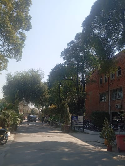The scene depicts an outdoor roadway within the Peoples University of Medical and Health Sciences campus in Rawalpindi, Pakistan, observed under bright daylight. A two-lane asphalt road, exhibiting minor surface wear, extends from the foreground into the background. On the right side of the road, a multi-story red brick building with multiple windows and an external air conditioning unit is present. A row of motorcycles is parked along the building's facade, and a blue informational sign identifying the university is visible nearby. Various potted plants, including columnar and palm-like specimens, line both sides of the roadway. Two individuals are walking away from the camera along the road; one in dark clothing is in the mid-ground, and another is further in the background near a dark-colored sedan. Abundant large trees with dense green foliage line the road and frame the upper portions of the image, forming a natural archway of vegetation over the road in the mid-distance. A motorcycle is partially visible in the immediate left foreground.