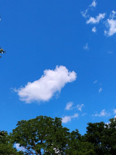 This media file depicts a bright, sunny day with a clear blue sky dominating the frame. The upper portion of the image features scattered white clouds, with one prominent, fluffy cumulus cloud positioned centrally. The lower portion of the image is filled with the dense, green foliage of trees, suggesting an outdoor, natural setting. The leaves are vibrant, indicating it is likely summer or late spring. Some branches and leaves are visible in the foreground on the left, adding a sense of depth. The overall impression is one of a peaceful, pleasant day. No people, objects, text, or specific activities are visible. The scene is likely in Hoholeve, Ukraine, as indicated by the location context. The lighting suggests it is daytime.