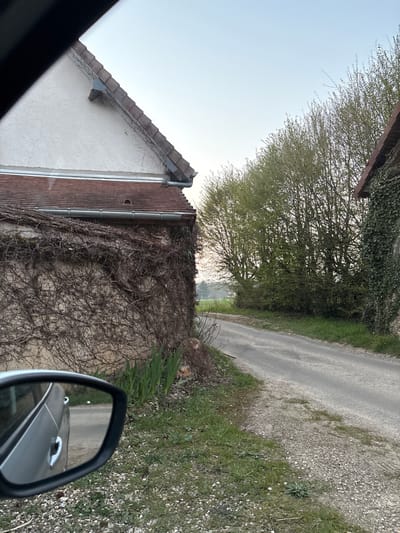 The image depicts a rural or semi-rural scene in Bû, France, viewed from the interior of a vehicle. The perspective is through a window, with a portion of the vehicle's black-framed side mirror visible in the lower left, reflecting a silver/grey car body and the road behind.
On the left, a light-colored building with a brown tiled roof features a gable end and a lower roof section. A metal gutter and downspout are present. The lower wall is heavily covered in dark, bare vines/creepers. A small, dark, triangular object is affixed to the upper gable, and a small, dark opening is visible on the lower roof section. Adjacent to this building, a patch of green sprouts grows from the ground, next to a tree stump or large rock.
A narrow, unpaved or lightly paved road, appearing grey with lighter gravel patches, curves from the foreground towards the background, situated between two structures.
On the far right, partially visible, is another building with a brown tiled roof and a wall densely covered in green ivy. Beyond this, a line of trees with budding light green foliage runs along the right side of the road, extending into the background. Further in the distance, a lighter green field is discernible under a clear, pale blue sky, indicative of an ambient light condition (e.g., dawn or dusk). No individuals or discernible actions are present in the scene.