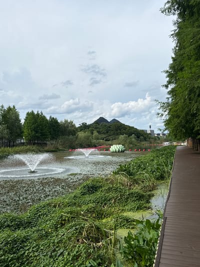 The image depicts a serene outdoor scene at Lin'an District, China, likely a park or recreational area. A wooden boardwalk runs along the right side of the frame, bordered by lush green vegetation that extends into the water. The water itself is partially covered with aquatic plants and features two fountains spraying water into the air. In the distance, a large, light green, lotus-shaped sculpture is visible in the water, surrounded by pink buoys. Beyond the water and sculpture, a line of trees separates the immediate area from a backdrop of rolling hills and a few distant buildings, including a tall, slender structure. The sky is overcast with scattered clouds. No people are visible in the image.