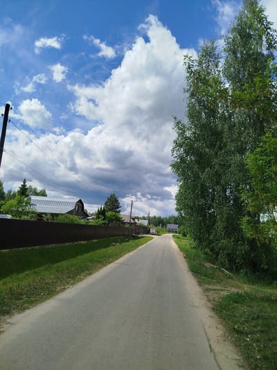The image depicts a rural road in Боровково, Russia. The road, paved with gray asphalt, stretches into the distance with a slight curve. On the left side of the road is a brown metal fence bordering residential properties. Behind the fence, there are houses with varying rooflines and styles, partially obscured by trees and foliage. A power pole with lines runs parallel to the road on the left. The right side of the road is lined with tall, green trees and lush vegetation. The sky is partly cloudy with a mix of blue sky and large, white cumulus clouds.