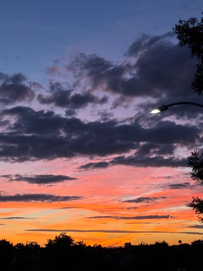 A sunset view is captured in this vertical, full-frame photograph. The sky transitions from deep blue at the top to a vibrant orange near the horizon, with clouds in shades of purple, pink, and dark gray scattered throughout. A street lamp with its light on is visible on the right side of the frame, silhouetted against the sky, along with the dark branches of a tree. The lower part of the image shows a silhouetted treeline, with hints of buildings and possibly a water tower beneath the horizon. The scene appears to be an outdoor suburban or rural setting, likely in Sacramento, United States, given the atmospheric conditions and the presence of a street lamp. No people or specific actions are depicted.