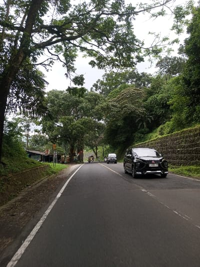 This image depicts a two-lane asphalt road in Kodarapalli, India, extending into the midground with a slight curve to the left. A solid white line marks the right edge of the road, and a broken yellow line indicates the center. The sky overhead is overcast.
In the midground, a black SUV, identified as a Mitsubishi Xpander with visible license plate characters "1369", occupies the right lane, facing forward away from the viewer. Further down the road in the left lane, a light-colored van or SUV is visible, followed by two motorcycles, one appearing yellow, traveling in the opposite direction. One motorcycle resembles a three-wheeled auto-rickshaw.
On the left side of the road, a dirt shoulder transitions to a low concrete retaining wall. Beyond this wall are several single-story structures with corrugated metal roofs, consistent with roadside stalls or small shops, partially obscured by large, leafy trees. A red and white banner is affixed near these structures. The immediate foreground on the left includes a large tree with visible roots and moss on its branches, along with palm fronds.
The right side of the road abuts a steep, densely vegetated hillside supported by a retaining wall constructed from stacked grey blocks. The hillside is covered with a thick canopy of various green trees and undergrowth. No individuals are clearly discernible in the scene.