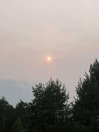 The image depicts a hazy sky over a forest. The sun, a small, bright orb, is visible in the upper center of the frame, partially obscured by atmospheric conditions, likely smoke. The sky itself is a muted, uniform gray with a slight pinkish hue near the sun, indicating diffused light. In the foreground and lower portion of the image, the dark green silhouettes of pine trees are prominent. The trees are dense and create a natural boundary between the sky and the ground, which is not visible. The composition suggests a natural, outdoor setting. Based on available information, this scene is located in the city of Lebyazhye, Russia. There are no people or animals present in the image. The environment is characterized by the presence of coniferous trees and a sky heavily affected by haze.