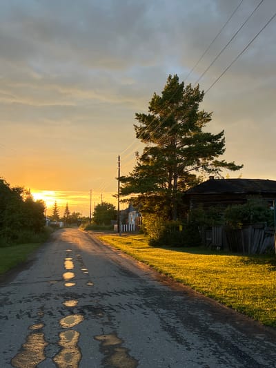 This is a vertical, eye-level, medium shot of a rural road in Pivkino, Russia, during sunset. The sun is low on the horizon, casting a warm, golden light across the scene. The road, paved with asphalt, is wet in places, with puddles reflecting the sunlight. To the left of the road, a strip of green grass is illuminated by the sunset, and further left, a large tree stands with its branches reaching towards the sky. In the background, several houses are visible, nestled amongst trees and vegetation. To the right of the road, a weathered wooden building with a dark roof is partially visible, overgrown with ivy. Utility poles with power lines run along the side of the road. The sky is a mix of pale yellow and gray clouds, indicating a partly cloudy day. The overall mood is peaceful and serene, capturing the beauty of a rural sunset.