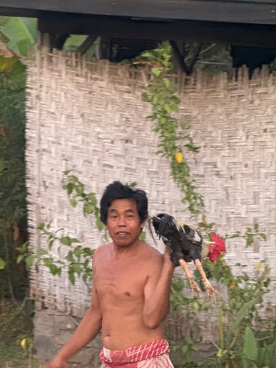 A shirtless man stands in front of a woven bamboo wall, holding a rooster by its legs. He has dark hair and is wearing a red and white patterned sarong. The rooster has black and white feathers and a red comb. Green foliage is visible behind the man and the wall. The scene appears to be outdoors, with a dark structure visible above the wall.