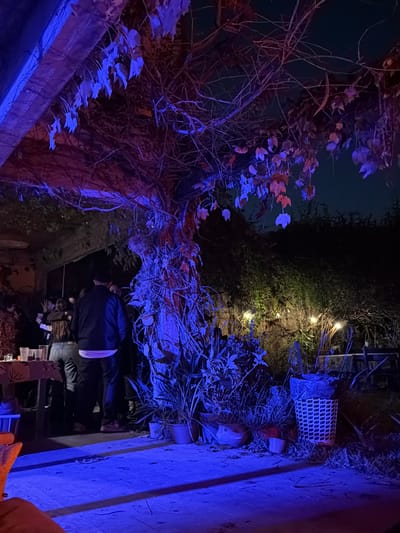 The scene is an outdoor gathering at night, possibly in a backyard or patio in Florida, Argentina, as indicated by the prompt. The area is illuminated with blue and warm-toned string lights, creating a dim, atmospheric ambiance.
Subjects present include individuals, presumably adults and possibly children. They are standing near a structure adorned with foliage and bare branches, some of which are illuminated with blue light. The subjects are dressed in dark clothing, making it difficult to discern specific details about their appearance.
Objects present are garden elements, plants, leaves, branches and an outdoor trashcan. The foliage appears to be a mix of plants, some of which have orange leaves.
Actions observed include people gathering and standing, likely socializing. Interactions are indicated by the presence of the group, suggesting they are engaged in conversation or other social activities.
The environment is a backyard or patio space at night. The lighting creates an intimate and somewhat mysterious atmosphere.