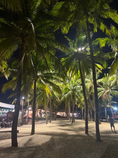 The image shows a nighttime scene on a sandy beach with many palm trees. The palm trees are illuminated by artificial lights, creating shadows on the sand. In the background, there are some buildings with lights on, suggesting a commercial or tourist area. There are also motorcycles parked on the left side of the image. A person is visible on the right side of the image, standing and looking out towards the water. This scene is likely located on An Bang Beach in Hoi An, Vietnam, which is known for its palm trees, sandy shores, and beachfront establishments that are often lit up at night.