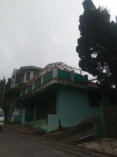 The image depicts a multi-level building complex situated on an incline in the city of Eheliyagoda, Sri Lanka, viewed from an asphalt road under an overcast sky. The foreground shows a dark asphalt road with a partial white line. To the right, the lower section of a building, painted faded teal, features two closed dark roll-down shutters and a dark window. Above this, a terrace or balcony with a teal concrete railing is visible, topped by a light green mesh barrier and an arched roof structure made of translucent material supported by wooden beams. Behind and above this structure, a two-story residential-style building painted light grey with white trim stands, featuring dark-tinted windows, including a prominent curved or bay window section. The roof of this upper building displays terracotta tiles. A tall, dark green coniferous tree, possibly a cypress, dominates the right side of the frame, extending well above the buildings, with ferns visible growing on its upper branches. On the far left, a white van is partially visible on the road, alongside a white metal fence. A dark green metal gate and concrete pillar are visible on the far right. No people are present.