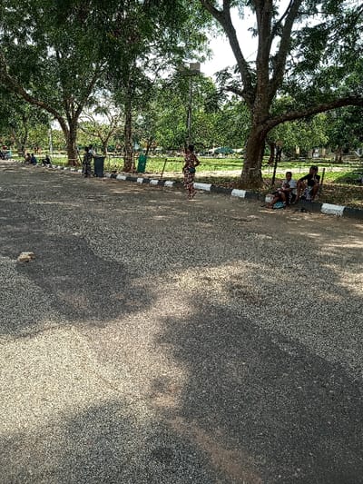 The image shows a paved road with a white curb on the right side. The road is empty, but there are five people walking along the edge of the road and a group of three people sitting on the grass at the right edge of the image. There are many trees, some with leaves and some bare, on the left and right sides of the road, and the ground is covered with dry, white leaves, making the scene dusty. There is a metal light post with a lamp on top near the center of the image. In the distance, there is a building with a green roof, behind the trees. Based on the coordinates, the image depicts a scene in the city of Ota, Nigeria, near the University of Lagos.