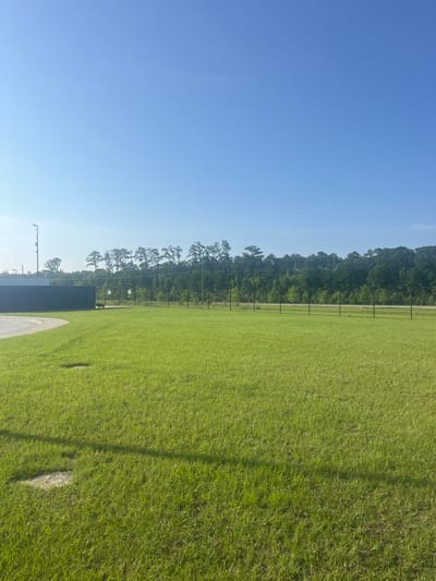 This image depicts a bright, sunny day with a clear blue sky above a landscape in Pooler, United States of America. In the foreground, a well-maintained, vibrant green lawn stretches across the scene. Two light-colored circular patches are visible on the lawn, one in the lower left and another further back, appearing as if something was removed or is naturally depressed in the grass. A dark gray, rectangular structure, likely a shipping container or similar building, is situated on the left side of the image, adjacent to a curved light-colored paved area. A tall pole with lights, possibly a light standard, stands near this structure. Beyond the lawn, a black chain-link fence runs horizontally across the mid-ground, separating the open grassy area from a treeline of dense green foliage, predominantly pine trees, that forms the background. A road is visible behind the fence and in front of the trees. A small, dark animal, possibly a dog, is seen near the fence. There are also two square signs on posts behind the fence, one with the number "80" and another with "60". The overall environment suggests an outdoor, possibly industrial or recreational, area under clear weather conditions.
