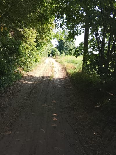 The image shows a dirt road in a rural setting, likely a village in the Патоцкі сельскі Савет, Belarus. The road is flanked by dense green foliage on both sides, with trees creating a canopy over the path in the foreground. Sunlight filters through the leaves, casting dappled shadows on the dirt road, which appears to be well-trodden and shows signs of tire tracks. In the distance, the road continues, narrowing and disappearing into a green expanse with some structures visible, possibly houses or farm buildings, under a clear sky. The overall impression is of a quiet, natural environment, characteristic of the Belarusian countryside.