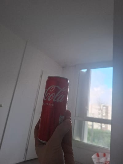 A fair-skinned human hand firmly grips a red Coca-Cola can, which is centrally positioned in the frame. The can displays the white "Coca-Cola" script logo and "ORIGINAL TASTE" text. The interior setting features white walls, with a white door frame partially visible on the left. A large, multi-pane window on the right side of the frame provides an exterior view of a bright blue sky with scattered clouds, and distant multi-story buildings partially obscured by trees and foliage. A white plastic bag with red lettering is situated on the floor beneath the window. The room is illuminated by natural light entering from the outside. The scene is located in Saint-Martin-d'Hères, France.
