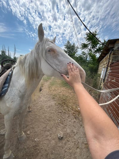 The image shows a person's hand gently petting the head of a white horse. The hand is resting on the horse's muzzle, and the person is wearing a ring. The horse has a long, flowing white mane and its eyes are visible. The scene appears to be outdoors, with a dusty path or ground visible. In the background, there's a building with a corrugated metal door and some vegetation. The sky is blue with scattered white clouds, suggesting it's daytime and the weather is pleasant. The image is taken from a low angle, looking up at the horse and the sky. The horse is wearing a saddle. There are power lines visible against the sky, and some trees in the distance. The overall impression is one of a peaceful interaction between a person and an animal.