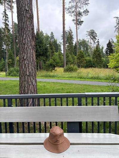 A brown bucket hat rests on a light-colored wooden bench in the foreground, situated in front of a black metal railing. Beyond the bench, a paved path curves through a grassy area, bordered by a dense forest of pine and deciduous trees under a cloudy sky. A large, textured tree trunk stands to the left of the frame, its bark prominently displayed. The overall setting appears to be a park or recreational area in Pavlovskaya Sloboda, Russia.