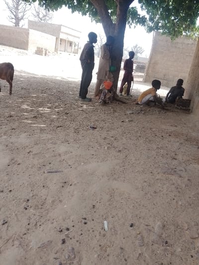 This image, captured in Kanwa, Nigeria, depicts an unpaved outdoor area under bright daylight. Six individuals, consistent with children or adolescents, are present. A large tree with green foliage stands centrally, casting shadows on the immediate ground below.
To the left of the tree, a dark-clad individual stands facing right. Leaning against the tree's trunk is another individual wearing a light-colored tunic. A small child, in patterned clothing and a red head covering, is situated at the tree's base. To the right of the tree, a person in a reddish-brown tunic stands, holding a stick. Further right, a child in a yellow shirt and dark trousers kneels on the ground. Immediately adjacent to this kneeling child, another individual in dark clothing is positioned within a ground depression, resting against a light-colored, block-constructed wall.
In the background, under full sunlight, several low-rise buildings constructed from light-toned blocks are visible. On the far left, the hindquarters of a brown, four-legged animal, consistent with a goat or calf, are partially observed. The ground is composed of dry, light-brown soil, uneven, and contains scattered small stones and debris. A small green object is visible near the base of the tree.