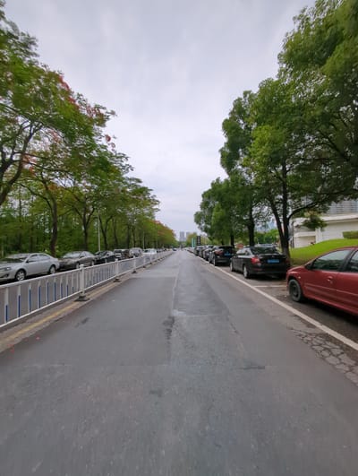 The image depicts a street in Shunde District, China, lined with parked cars and trees. The road surface is wet and appears to be made of asphalt. A line of vehicles is parked along the right side of the street, with a red car prominent at the front. On the left side, trees with green and some red foliage create a canopy effect. A barrier, possibly for pedestrian safety, runs alongside the parked cars. The sky is overcast, suggesting it might have recently rained or is about to. The background features buildings in the distance.