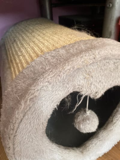 The image is a close-up, eye-level shot of a beige, woven scratching post with a grey plush-covered opening. The scratching post is cylindrical and appears to be made of sisal rope. A small, white pom-pom toy hangs by a string inside the plush opening. The background is out of focus and shows a dark, indistinct object and a faint pinkish-purple surface. There are no people present in the image. The scene is indoors, and there is no information to suggest a specific location within the city of Bílina, Czechia.