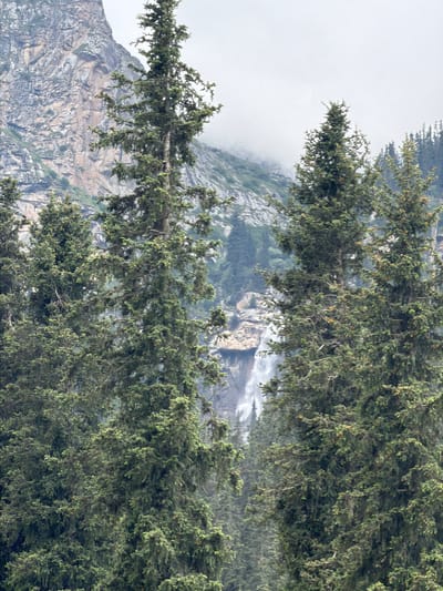 The image captures a misty mountain landscape viewed through the branches of coniferous trees. The foreground is dominated by the dense green foliage of the trees, with their branches hanging downwards, obscuring parts of the background. Small, reddish-brown cones are visible scattered among the needles.
Behind the trees, a rugged mountain slope is discernible, characterized by its rocky, uneven texture and shades of grey and brown. Wisps of white mist drift across the mountainside, partially veiling the scene and creating a sense of depth and mystery. In the distance, a faint waterfall can be seen cascading down the rocky face, adding a dynamic element to the otherwise static landscape. The overall atmosphere is serene and somewhat melancholic, enhanced by the soft, diffused light filtering through the mist, suggesting an overcast or early morning/late evening time of day. The location appears to be a natural, mountainous environment, possibly a forest at a high altitude. There is no text visible in the image.