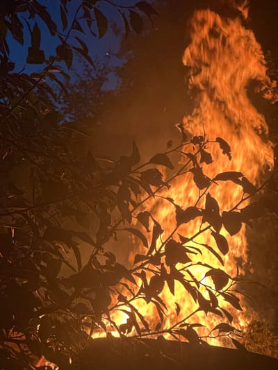 In the city of Rasskazovo, Russia, a nighttime scene is dominated by a large, intense bonfire. The flames are a vibrant orange and yellow, reaching high into the dark sky. In the foreground, silhouetted branches and leaves of a tree obscure parts of the fire, creating a stark contrast between the dark foliage and the bright flames. The overall atmosphere is dramatic and somewhat ominous, with the fire casting a warm glow on the surrounding environment. There are no people or specific structures clearly visible in the image, only the natural elements of trees and fire against the night sky.