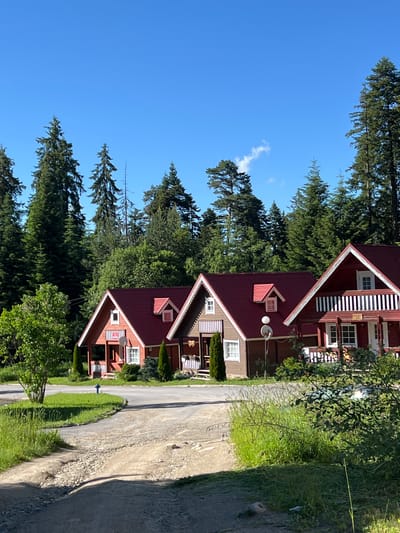 The image depicts a cluster of three identical wooden cabins with red roofs, set against a backdrop of lush green pine trees and a clear blue sky. The cabins are positioned in a line, with a paved road winding in front of them. Each cabin features white-framed windows, a porch with white railings, and what appears to be a satellite dish on the exterior wall of the middle cabin. The surrounding environment is natural and wooded, with a gravel path leading towards the cabins from the foreground. The scene suggests a tranquil, possibly resort-like setting.