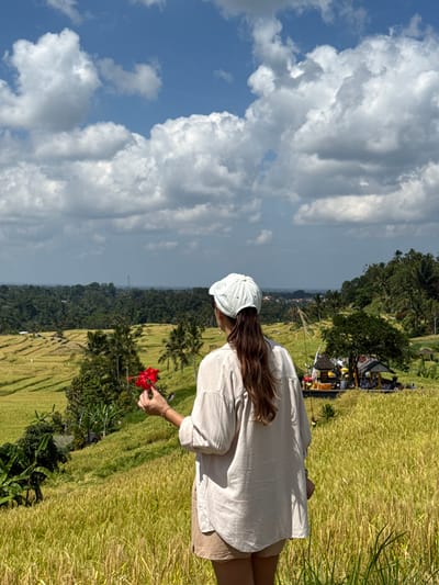 A woman wearing a light-colored cap, a loose-fitting button-down shirt, and beige shorts stands in a field of golden-yellow rice paddies. She is facing away from the camera, holding a red hibiscus flower in her right hand. The background shows lush green hills with scattered trees and structures, suggesting a rural or agricultural setting. The sky above is blue with scattered white clouds. The image appears to be taken outdoors, in natural light, with a shallow depth of field that blurs the background slightly. The location is identified as Penebel, Indonesia.