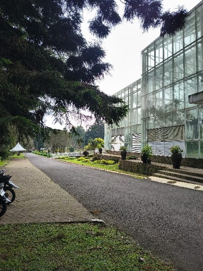 A long glass building stands near trees and a pathway. The building's reflection is seen in its many windows. A black asphalt path runs parallel to the building's base. On the opposite side, the path is brick. Green grass and plants border the pathway. There is a small parked motorcycle in the bottom corner of the picture.